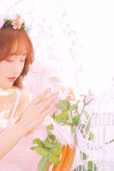 高粱花子